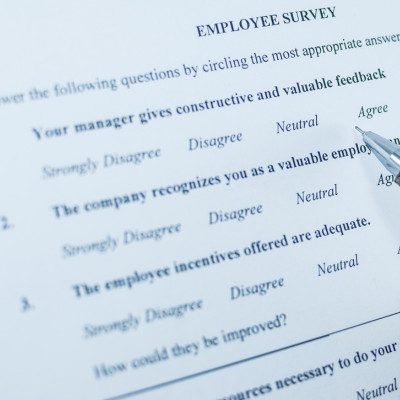GoVibe employee wellness survey participation