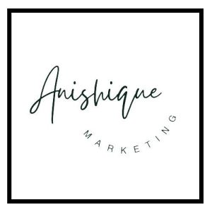 Anishique Marketing logo representing digital marketing and branding services in South Africa